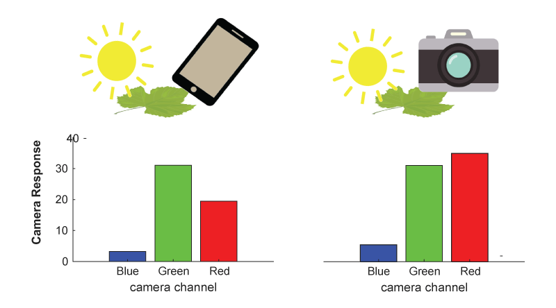 Description of image